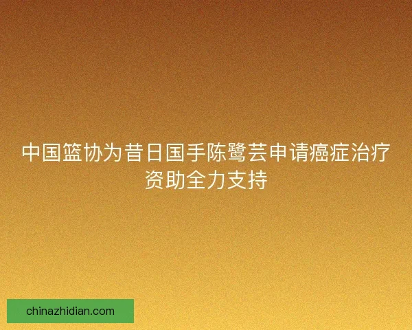 中国篮协为昔日国手陈鹭芸申请癌症治疗资助全力支持